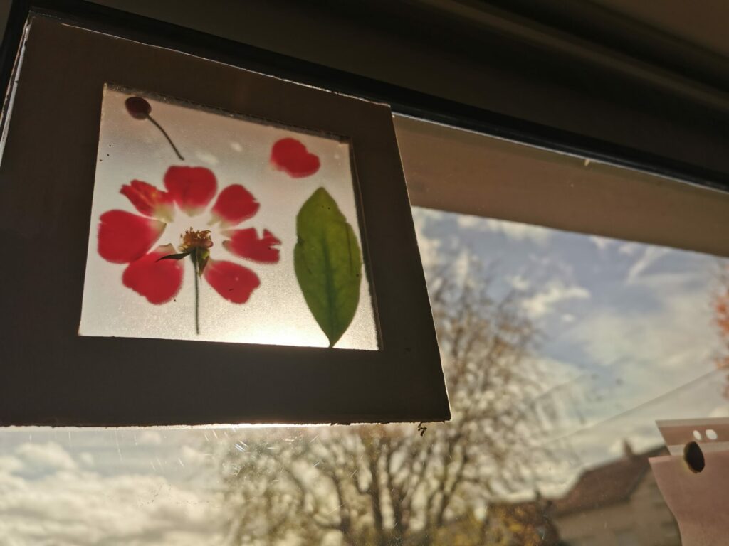 L&rsquo;automne chez les MS-GS