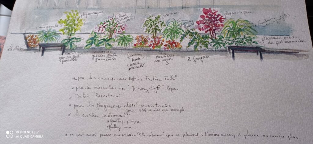 Création d&rsquo;un jardin floral