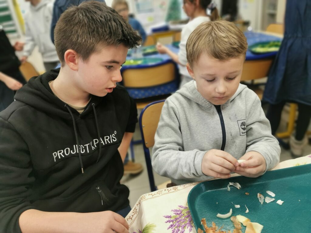 La cuisine entre « grands » et « petits »: projet SOUPE!